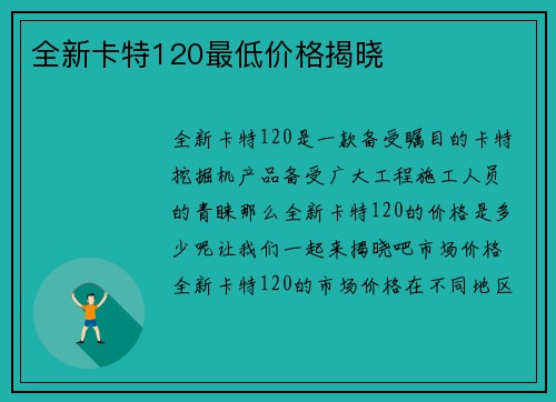 全新卡特120最低价格揭晓